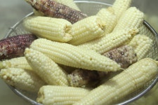 가마솥에서 쪄낸 쫀득쫀득 찰옥수수 : 벨라맘마 마켓