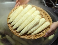 가마솥에서 쪄낸 쫀득쫀득 찰옥수수 : 벨라맘마 마켓