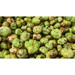 생충영 햇 개다래열매 충령 국산 좋은 국내산 : 약초 궁