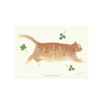 nori 02 - Drawing card : 후긴앤무닌