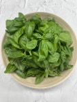 야채이야기 신선한 생 바질 500g 바질잎 바질페스토 : 야채이야기