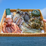 남해 바다 냉동 해물 모듬 보물섬 해너 언니네 해물찜 세트 산지직송 양념포함 : 초록초록팜