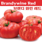 레드 브랜디와인토마토 Red Brandywine 달콤한 희귀토마토 교육체험용 세트 : 나만아는