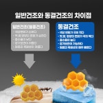 캐나다산 100% 로얄젤리 로얄제리 : 그린메디케어