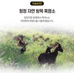 하모니웰 자연방목 흑염소 진액 60정 석류 산야초 추출 발효액 함유 복합정 : 사랑맛