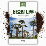 씨앗팜 바오밥나무씨앗 5립 열대식물 종자 : 씨앗팜