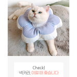 넥카라 동물병원 아기 고양이 새끼 블루 M : 건우프렌즈