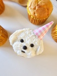 [댕스윗] 강아지 생일 컵케이크 강아지 고양이 얼굴 커스텀케이크 : 댕스윗