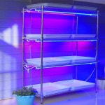 산소 삽목기 수경 육묘 삽목 나무 번식 재배 꺾꽂이 실내 모종 제라늄 배양랙 대량 스마트팜 선반 : 레몬망고쥬스