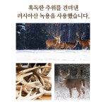 순 녹용 즙 진액 엑기스 사슴농장 70ml x 30포 : 뉴프리 공식몰