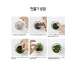 비바리움 만들기 이끼 이오난사 테라리움 키트 diy 어르신 학생 원예치료 재료 둥근유리컵 : 상상하랑