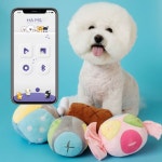 강아지 버디볼 반려견 라텍스공 장난감 공놀이 : 이지쇼핑마켓