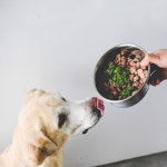 그린쥬쥬 덕 오렌지 홀푸드 바이트 213g : 베리베리독