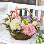 파스텔 수국 바스켓 당일배송 생화 꽃바구니 생일 기념일 여자친구 축하선물 전국꽃배달 : 라임플라워