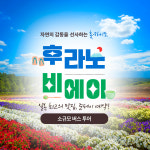 [소규모]후라노, 비에이 버스투어 미슐랭준페이 웨이팅없이 식사가능 : 삿포로베이스캠프