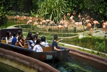 [QR코드 바로 입장] 싱가포르 리버 원더스 & 리버퀘스트 탑승권 (구 리버 사파리) : 트래블포레스트-트래블위드독