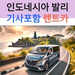 인도네시아 발리 택시투어 기사포함 렌트카 (공항픽업가능 자유일정 네이버톡견적) : 시드블루
