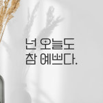 인테리어 포인트 예쁜 별폰트 레터링 스티커 넌 오늘도 참 예쁘다 LPP-016S검정 : 어썸투데이