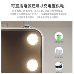 led조명 메이크업 박스 거울 내장 전문가 휴대용 : 블링아워