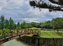 떼제베cc 충청도 36홀 매일 다르게 1박2일골프여행 : GIANTGOLF