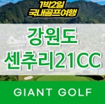 원주 센추리21cc 1박2일 골프패키지 강원도 원주골프장 : 자이언트골프 국내해외 예약