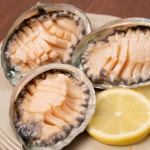 산소포장 전복 왕 특대 완도 전복 활전복 1kg 전복선물세트 : 싱싱냠냠