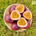 국산열대과일 꿈에 그린 농장 백향과 생과 패션후르츠 1kg : 풍요상회