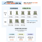 (샘플) 포도에어셀 1호 2호 3호 3-1호 샤인머스켓 켐벨 완충재 에어캡 에어백 포장용 : 에어젠