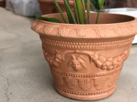 79 x H55cm / CNG-85A / 플라스틱화분,플라스틱고급화분 : 올리브1945