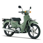 슈퍼커브 110 혼다오토바이 24년식 : 바이크몬스터M