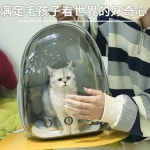 슬링백 애견 산책 개가방 이동장 백팩 애완견 투명 : 포지티브플러스샵