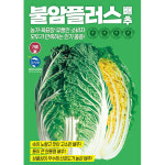 불암플러스 배추 종자 1000립  [24년포장] 김장배추 배추씨앗 노란배추 : 큰들상사