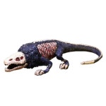 SCP재단 괴물 장난감 피규어 육팔이 도마뱀 굿즈 scp682 : 피에이치에스