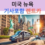 미국 뉴욕 택시투어 기사포함 렌트카 (공항픽업가능 자유일정 네이버톡견적) : 시드블루