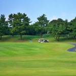 제주도 골프여행 패키지 1박2일 45홀 제주 해비치cc 스프링데일CC 골프텔 2인조인 : 이든 eden