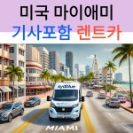 미국 마이애미 택시투어 기사포함 렌트카 (공항픽업가능 자유일정 네이버톡견적) : 시드블루