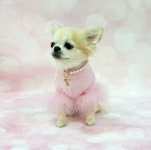 포펫츠온리 Diamonds & Pearls Collar Pink : 헤이도그 송도본점