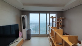 고양이 행동풍부화 캣로드 캣워커 펫테리어 원목 캣타워 인테리어 패키지 : 플레이캣