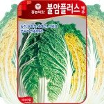 불암플러스 김장배추씨앗 1000립 가을 김장배추씨 종자 채소씨앗  팜한농 : 주주씨앗