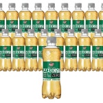 캐나다드라이 진저에일 토닉워터 제로 300ml 하이볼 : 하이로지스