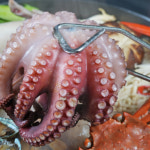 초복 말복 복날 해신탕 밀키트 캠핑 음식 해물탕 보양식 몸보신 여름 만들기 : 스마트초이스M