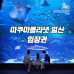 [일산] 아쿠아플라넷 일산 입장권 아쿠아리움 : 레저프랜드