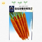 홍심농자재 | 홍심 5촌 당근 뿌리 채소 종자 씨 씨앗 : 해가빛농자재