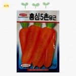 홍심농자재 | 홍심 5촌 당근 뿌리 채소 종자 씨 씨앗 : 해가빛농자재