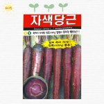 홍심농자재 | 홍심 5촌 당근 뿌리 채소 종자 씨 씨앗 : 해가빛농자재