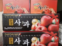 새콤달콤 문경사과 아오리사과 청사과 3kg 5kg : 아빠두리농원
