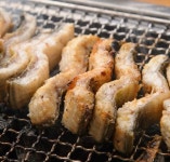 통영 자연산 바다 장어 캠핑 여름보양식 1kg : 제노식탁