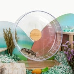 나이트엔젤 골든햄스터쳇바퀴 무소음 컬러아크릴쳇바퀴 : 루루비 스토어