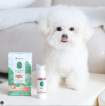 산뜻오 고양이 강아지 오메가3 오메가6 식물성 씨벅톤 오일 30ml, 1개 : Nutrition Tree