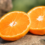 제철과일 감귤 고당도 귤 3kg : 오촌아재